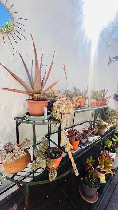 Le Jardin Du Roucas Apartment Marseille